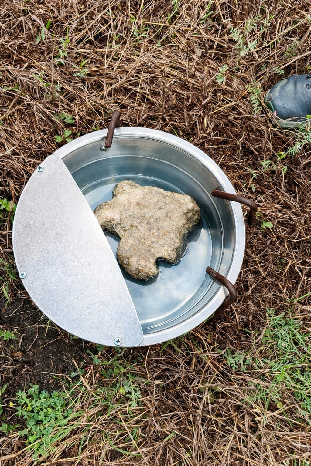 The same water bowl after cleaning, holding clear water with a clean stone in the center