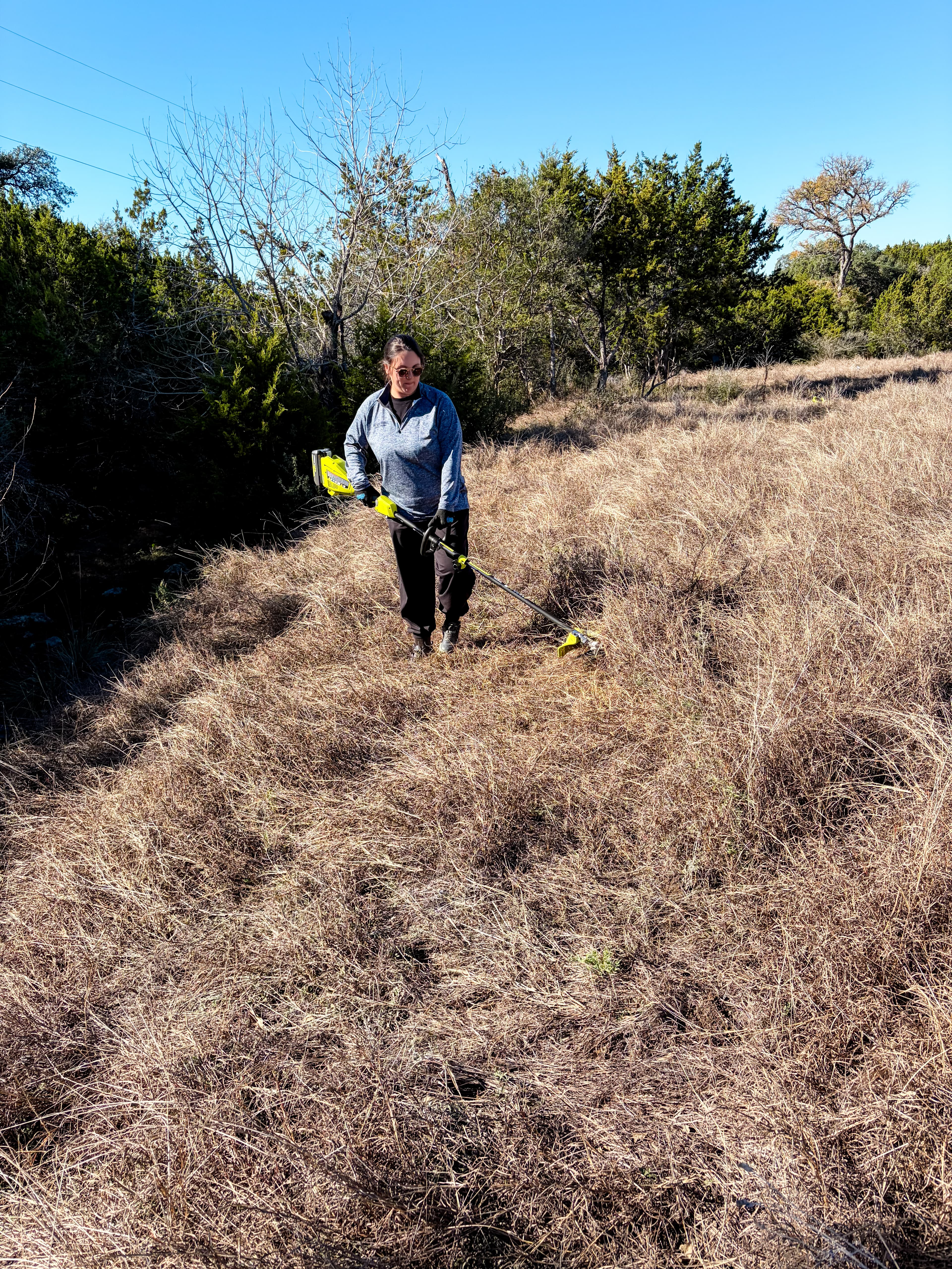 Clearing brush on the property