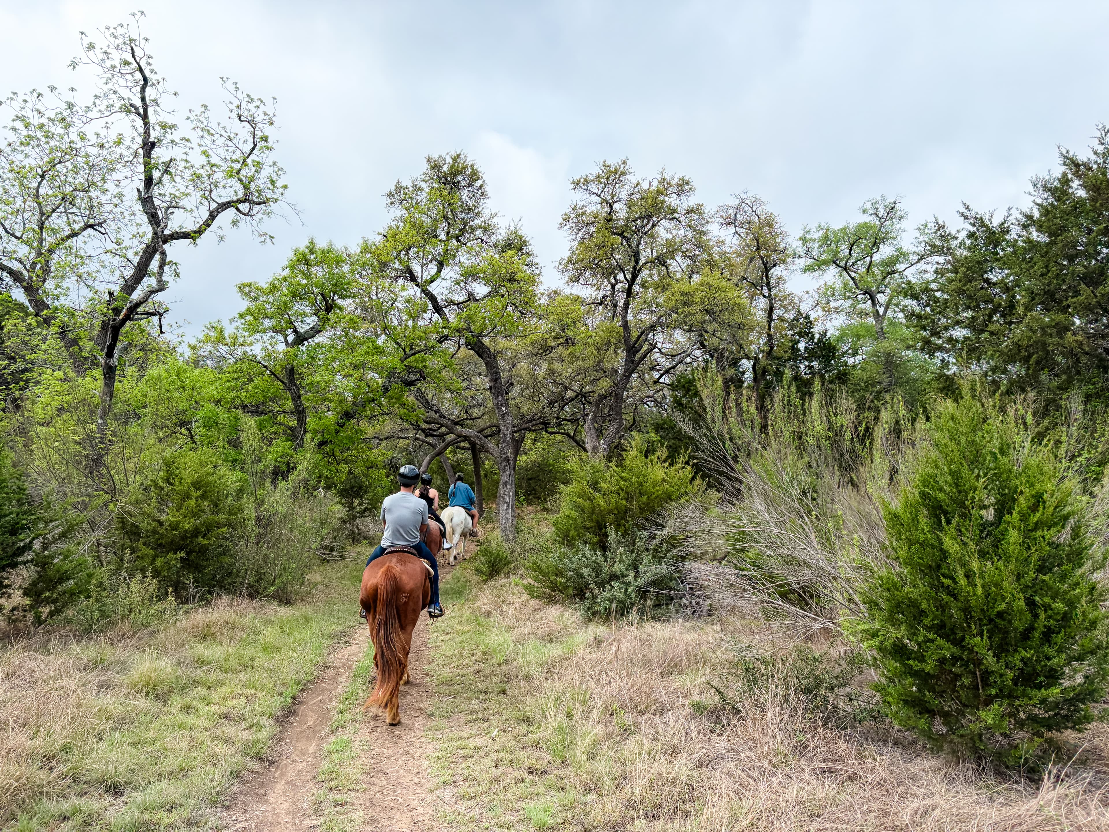 Horseback riding through Texas hill country